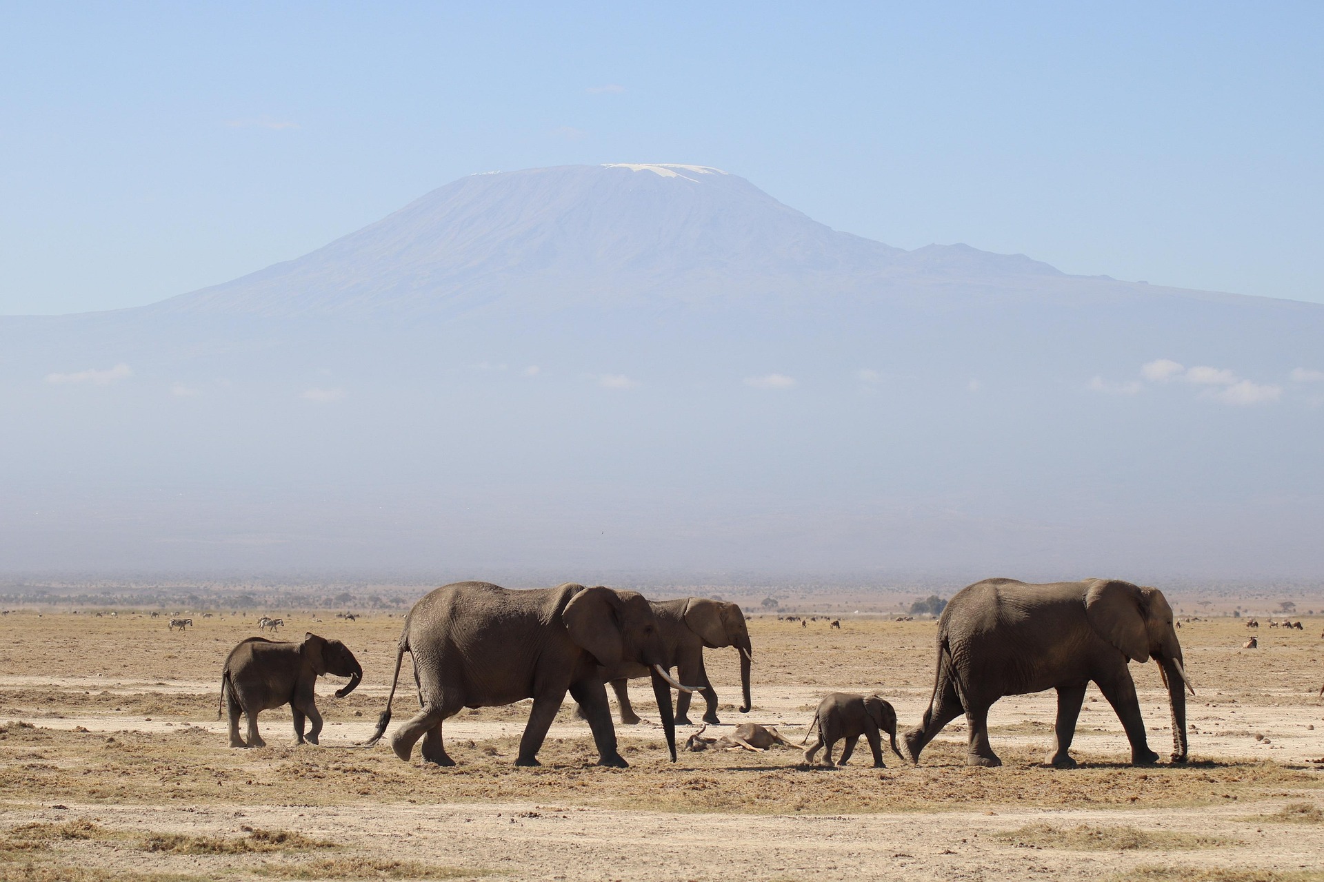Kenya & Tanzania