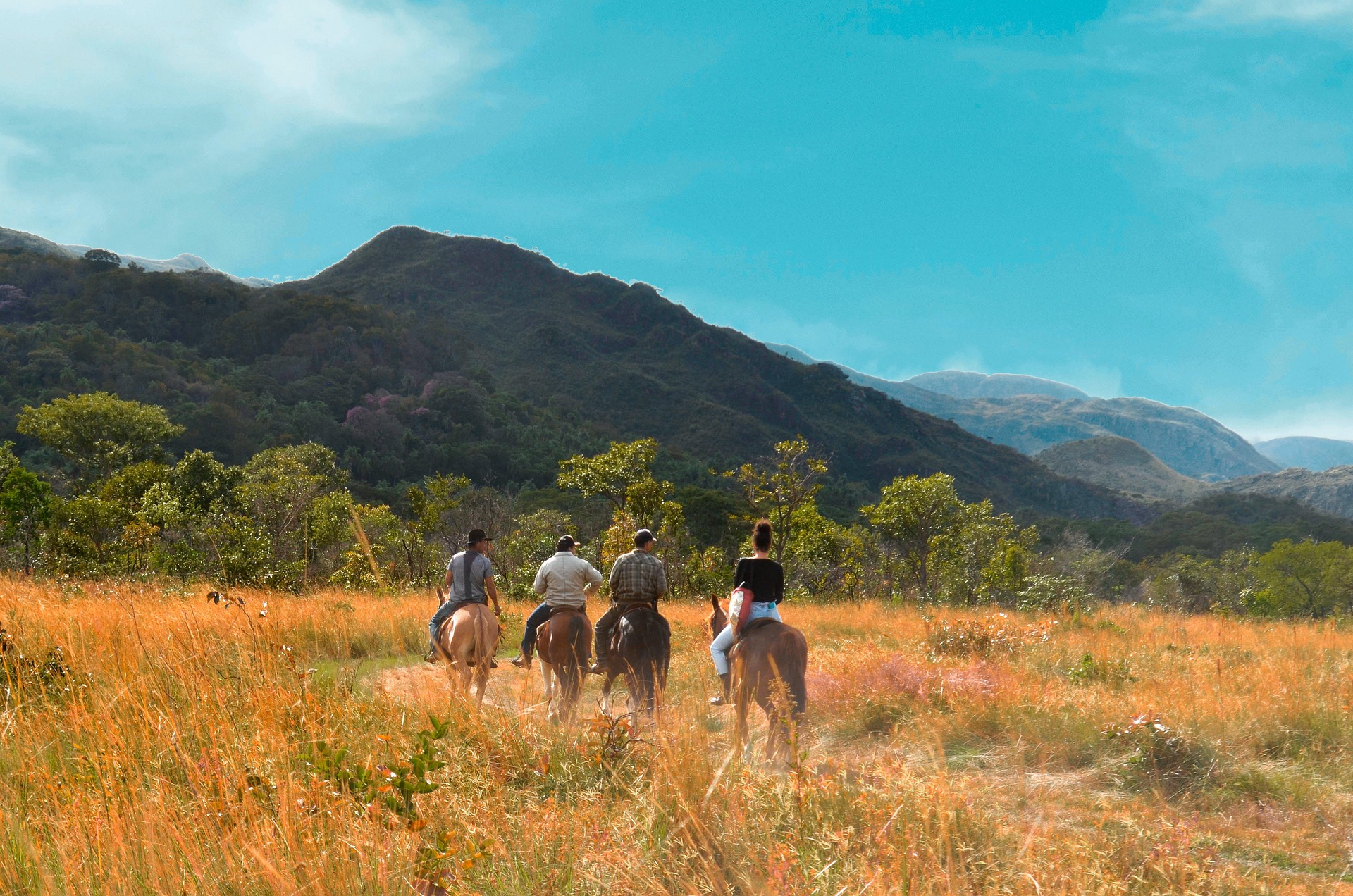 Mara Equestrian Safari: Horseback Wilderness Ride