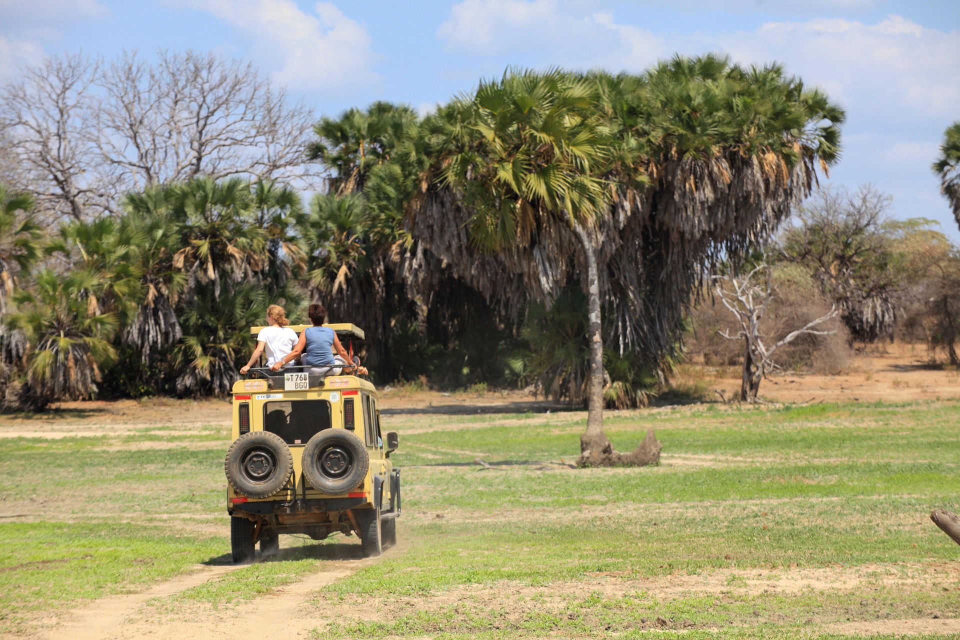 Ruaha National Park Safari